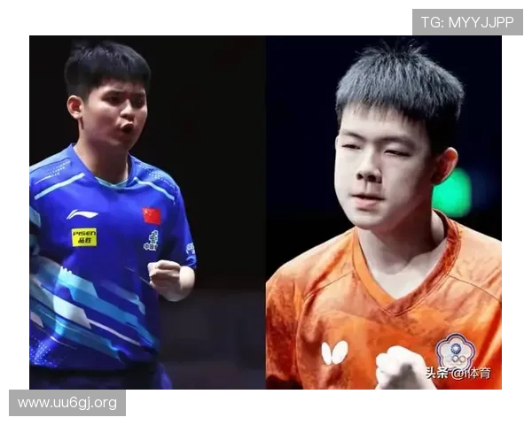 国乒主力为何集体缺席WTT冠军赛背后原因多维全面深度解析