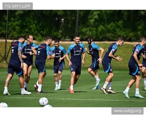 年度世界杯参赛球队综合实力评估与发展趋势全景报告深度解析版本